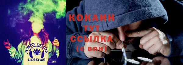 ГАЛЛЮЦИНОГЕННЫЕ ГРИБЫ Красноперекопск