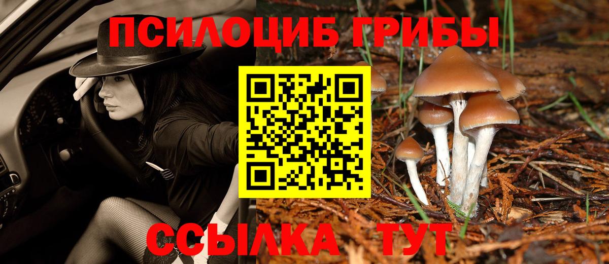Кызыл  Галлюциногенные грибы мухоморы  как найти наркотики  Вход с VPN  Псилоцибиновые грибы Psilocybine cubensis 